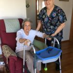 Southwestern IL College Foundation PSOP Senior Companion Program